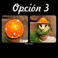 Image 8 of Mini mandrágoras setas