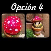 Image 9 of Mini mandrágoras setas