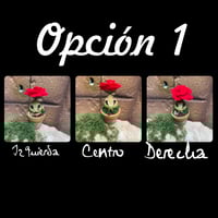 Image 4 of Pack mesa expositora + 5 mini mandrágoras