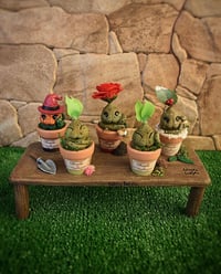 Image 1 of Pack mesa expositora + 5 mini mandrágoras