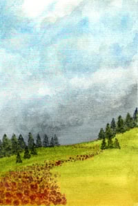 Image 1 of Stormy Summer