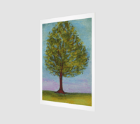 Image 2 of Summer Tree