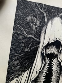 Image 3 of IN CORRODITUR