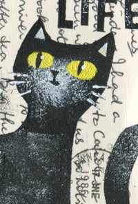 Image 3 of All Life Love Cat