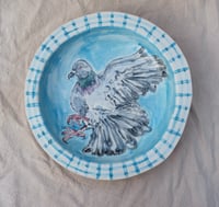 Image 1 of Pigeon in Flight 