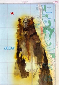 San Diego Grizzly Bear