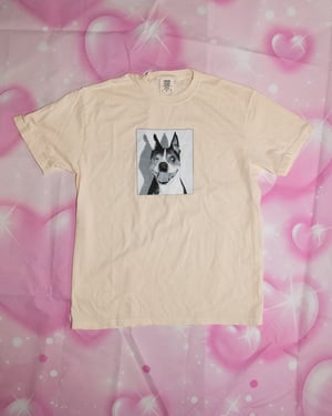 Image of BUGBUSTER! shirt + hoodie