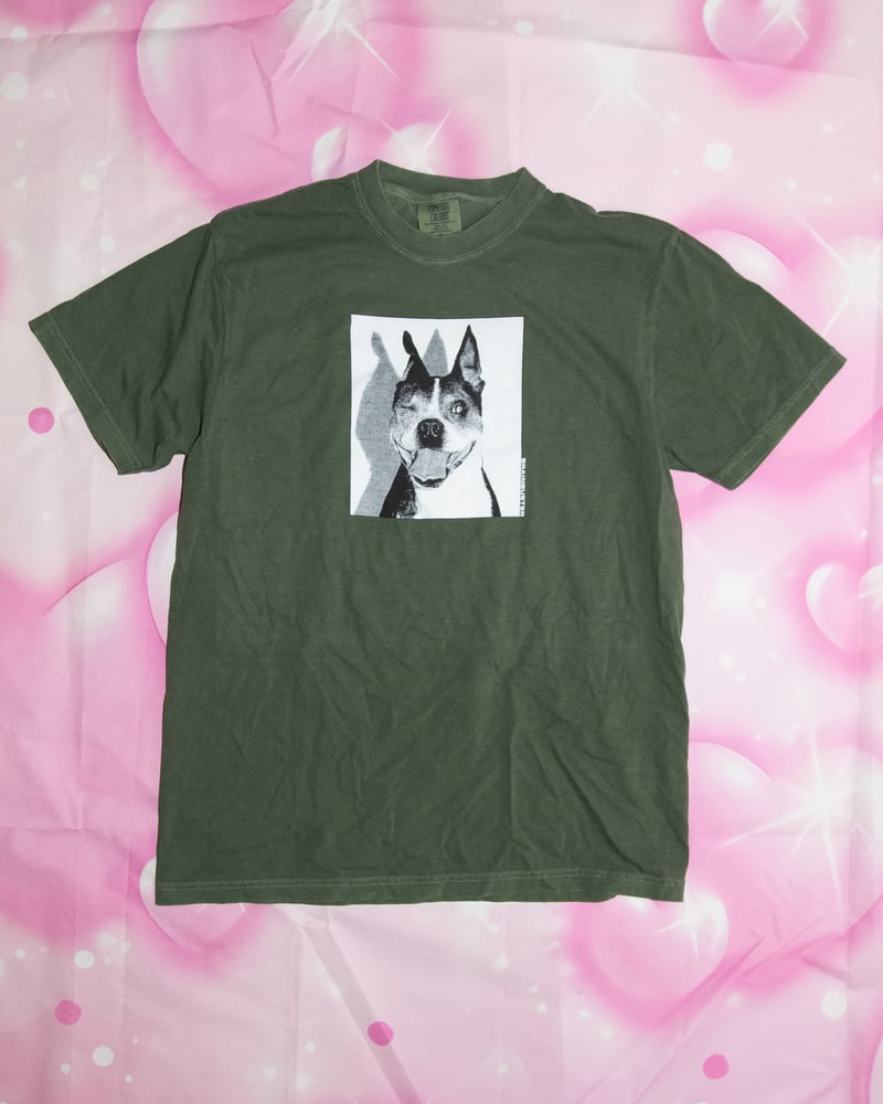 Image of BUGBUSTER! shirt + hoodie