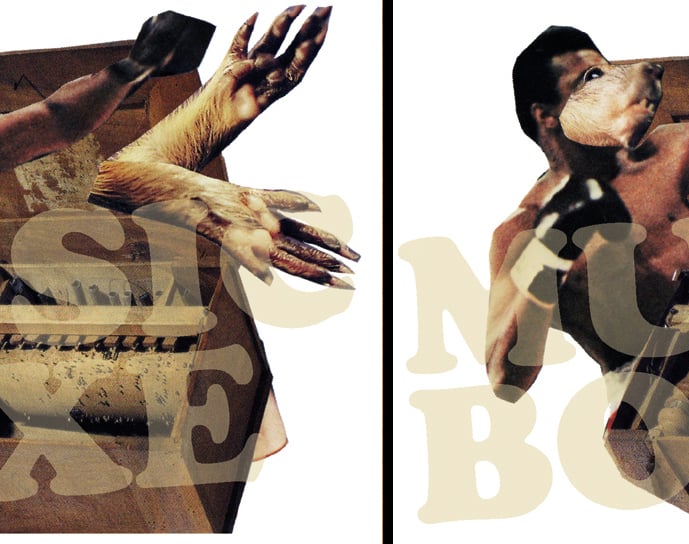 Image of Music Boxe de Guillaume Belhomme 