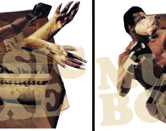 Image of Music Boxe de Guillaume Belhomme 