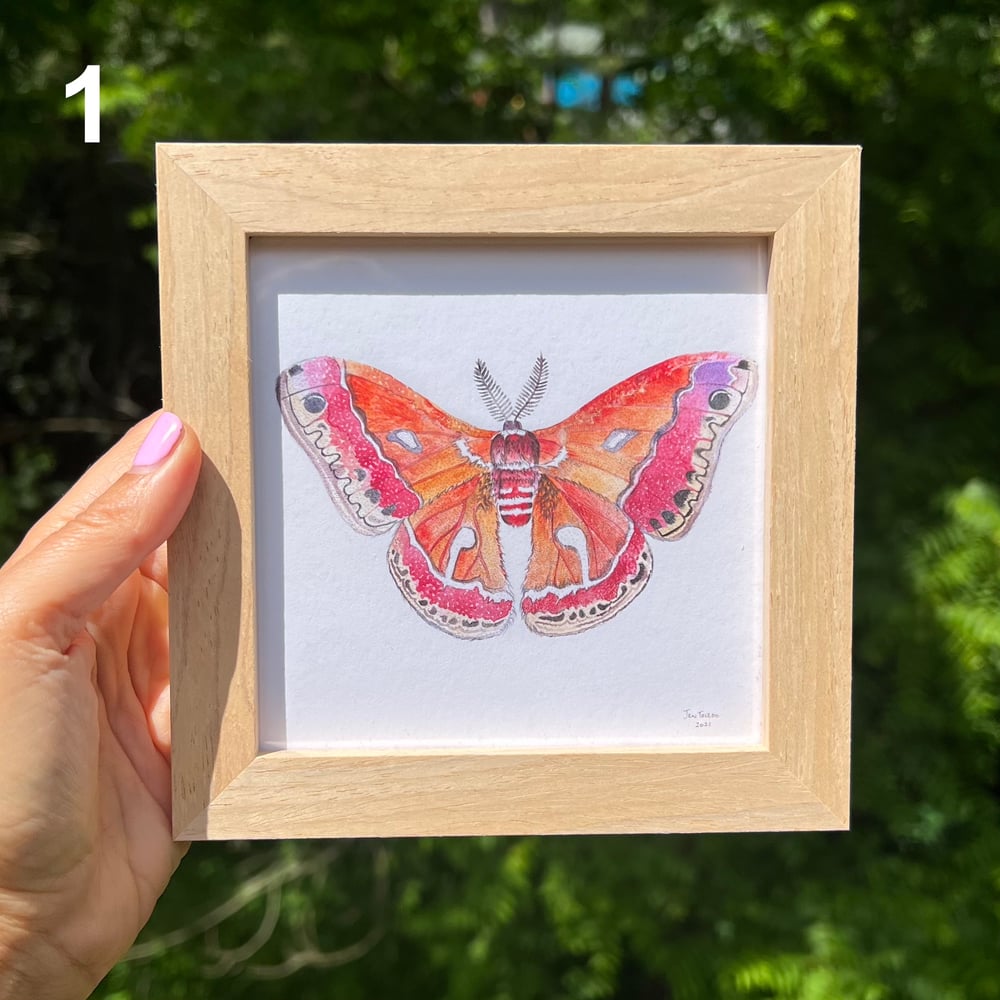 Image of Frame Add-ons