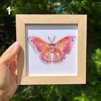 Image 1 of Frame Add-ons
