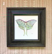 Image 2 of Frame Add-ons
