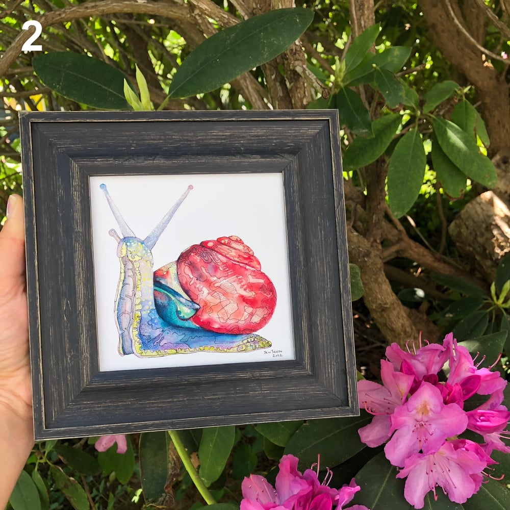 Image of Frame Add-ons