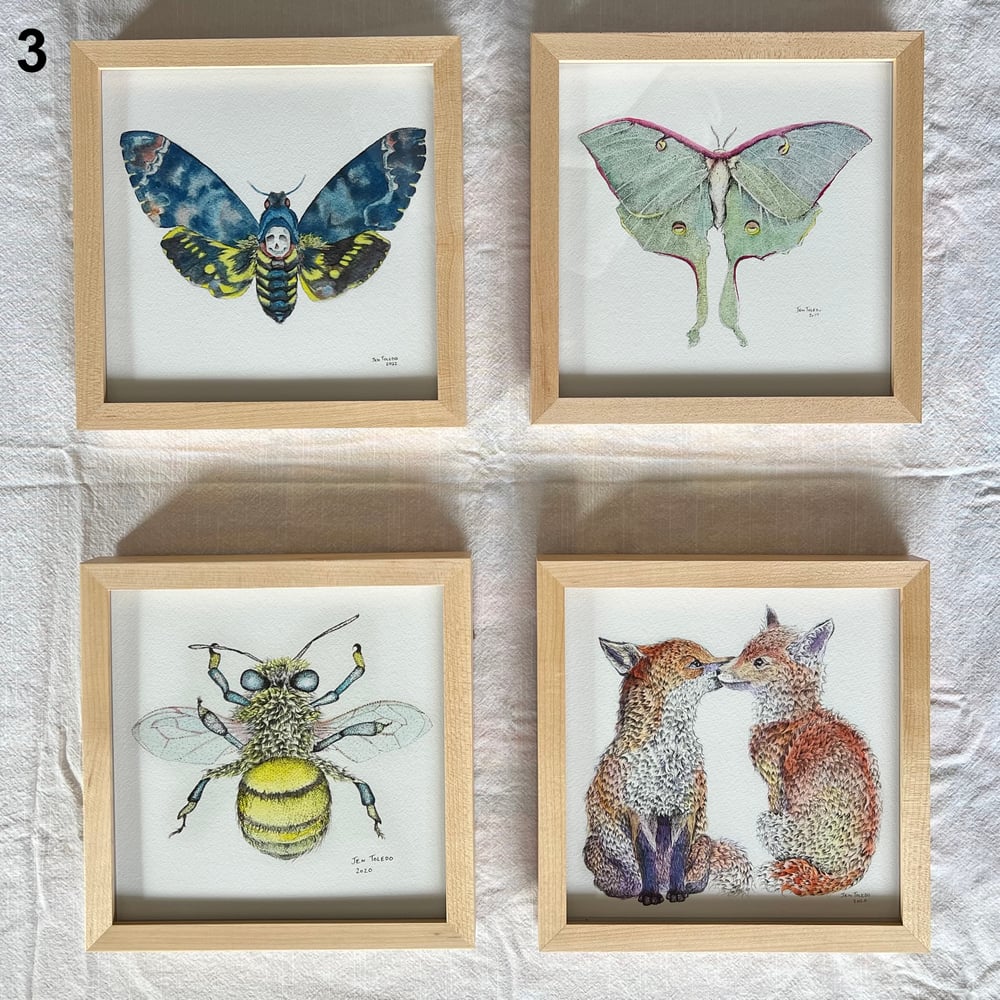 Image of Frame Add-ons