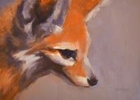 Image 1 of Fennec Fox