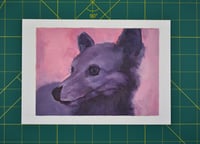 Image 3 of Island Fox