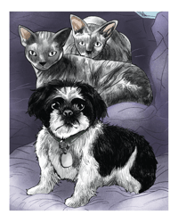 Image 4 of Custom Pet Illustration - Detailed