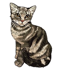 Image 3 of Custom Pet Illustration - Detailed