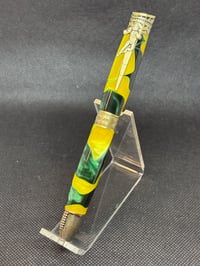 Image 1 of Football Pen in Packers Green and Gold