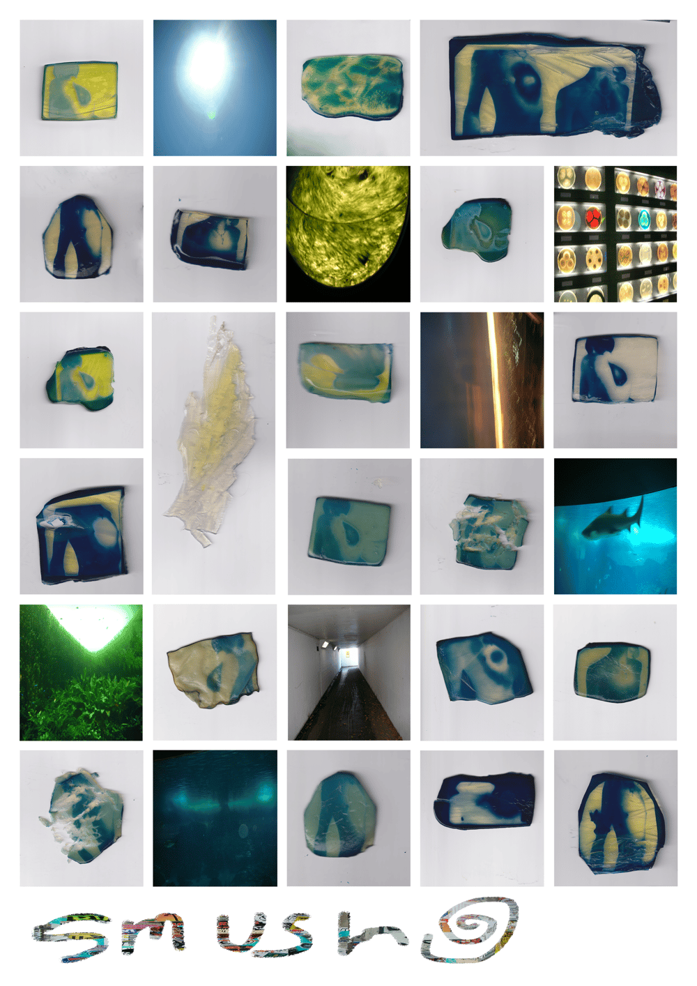 Image of IPG004: MOLD curated by Oscar Rodriguez