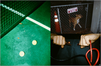 Image 4 of Collodion Stream Volume 3