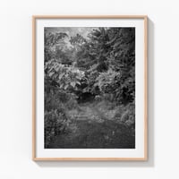 Freshkills No.1: Reclaimed road