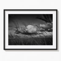 Freshkills No.7: Cloud