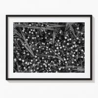 Freshkills No.6: Clover fields