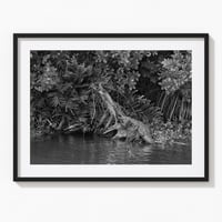 Black River, Jamaica 2017