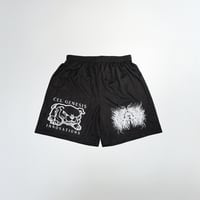 Image 1 of Cel Genesis Branded Mesh Shorts