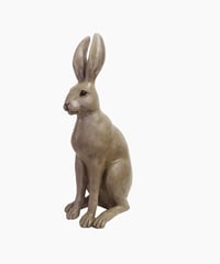 Harold the Hare Brown  