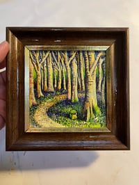 Image 1 of A stroll through the Bluebell Woods