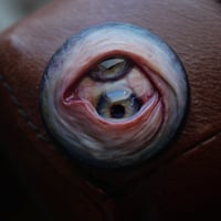 Image 4 of Custom Swappable Phone Grip for smartphones, double iris, reflective pupil, glow in the dark