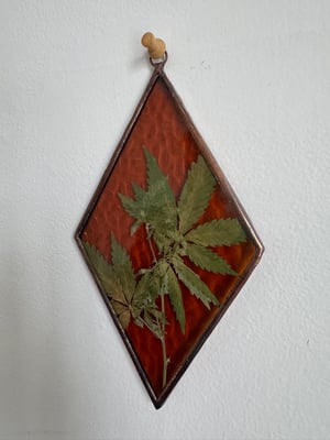 Amber Cannabis Diamond