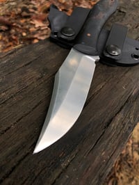 Image 2 of Cenote V2 - Bellingham Bay