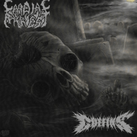 Coffins / Cardiac Arrest Split 7"