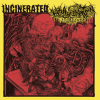 Incinerated / Hallucination Realised Split 7"