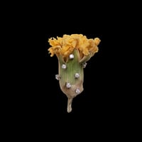 Rae Crystal Stud Earrings