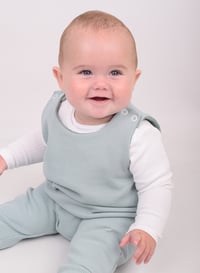 Image 5 of Waffle sage