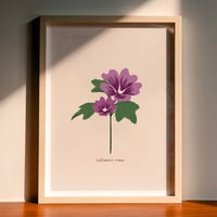 Image 1 of Estimar-nos