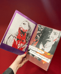 Image 2 of In Throes of Increasing Wonder: an Interview with the Vampire zine