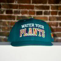 Image 2 of WATER YOUR PLANTS Snapback - Forest 