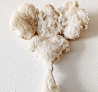 Image 1 of Eugenie (from the series Ornament and Crime)
