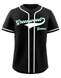 Image 1 of Gators Baseball Jersey