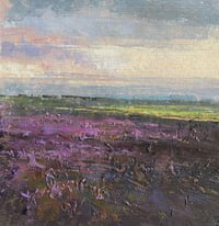 Image 1 of Where the Heather Glows