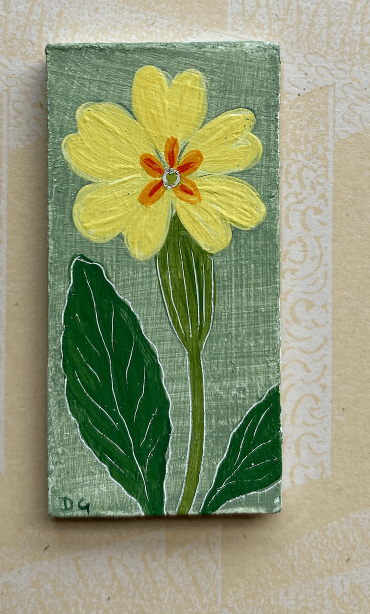 Image of Tiny Primrose (1)