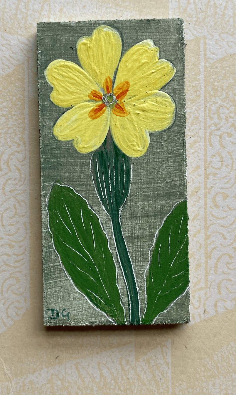 Image of Tiny Primrose (2)