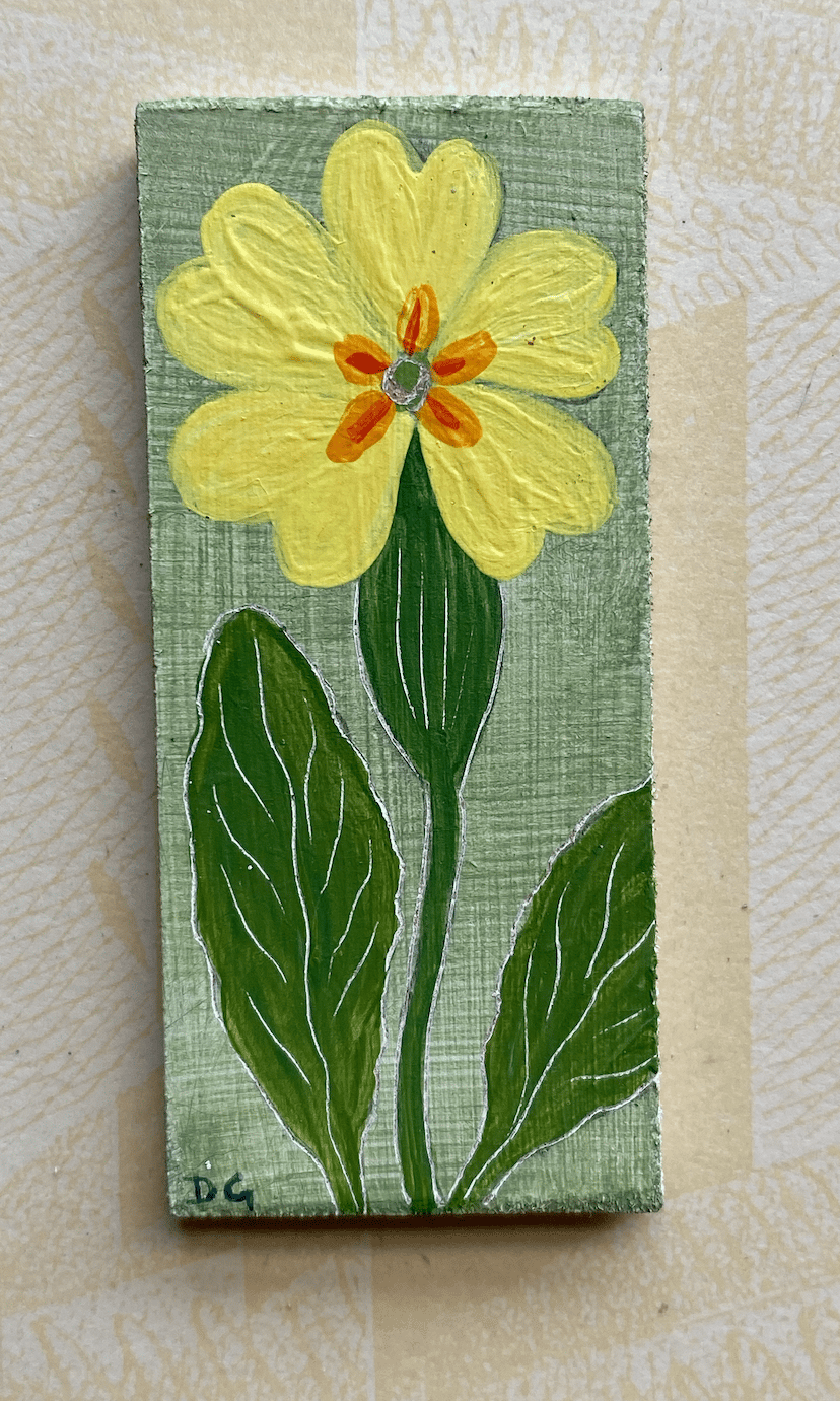 Image of Tiny Primrose (3)