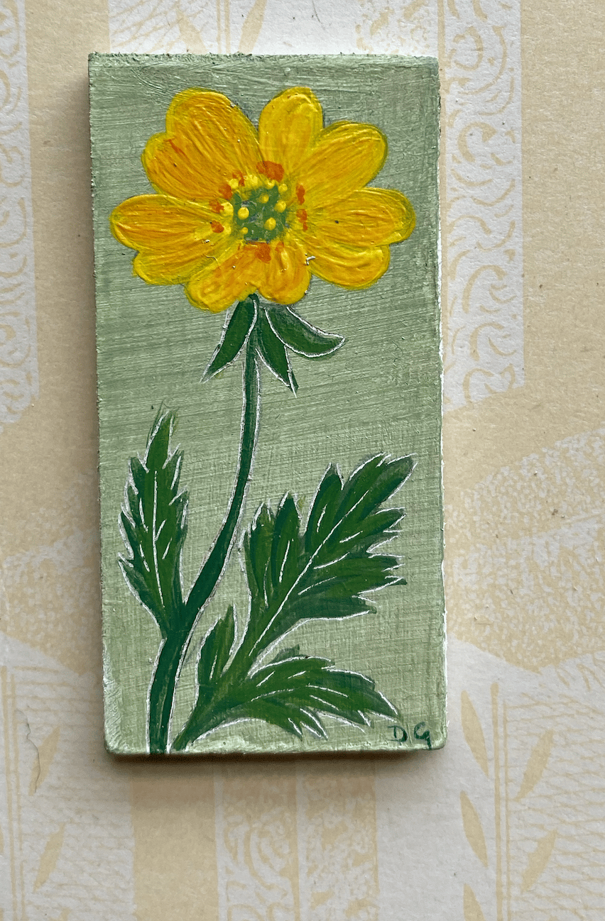 Image of Tiny Buttercup (1)